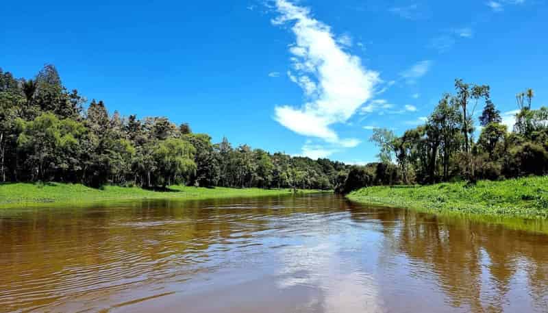  Mangarata Block Road (63.23 ha), Tangiteroria