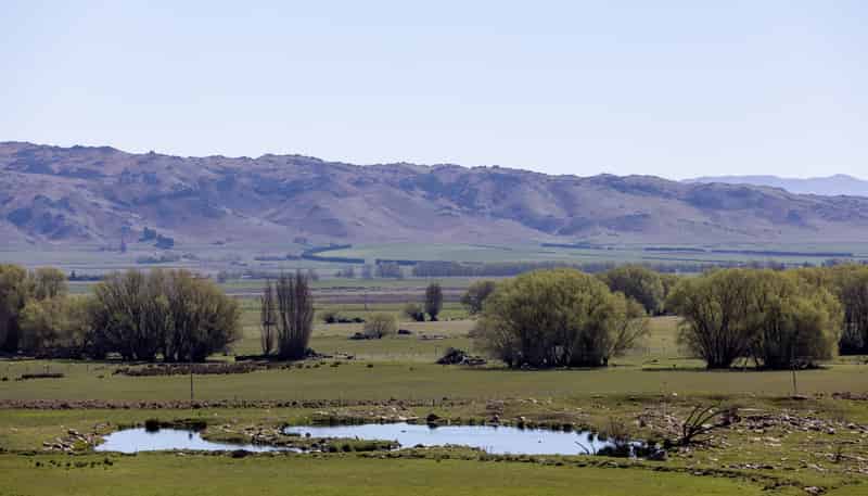  Old Dunstan Road, Moa Creek, Central Otago, Cromwell