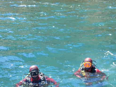 Dive into Business Ownership