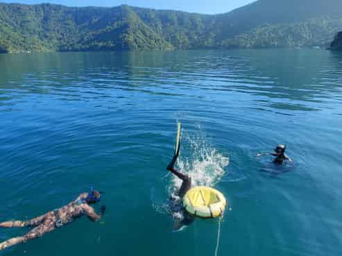 Dive into Business Ownership