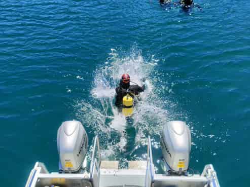 Dive into Business Ownership