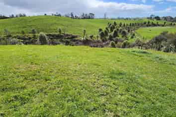 369 Tarata Road, Inglewood
