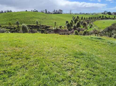 369 Tarata Road, Inglewood