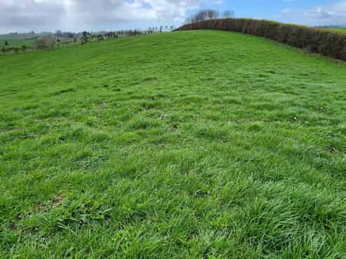 369 Tarata Road, Inglewood