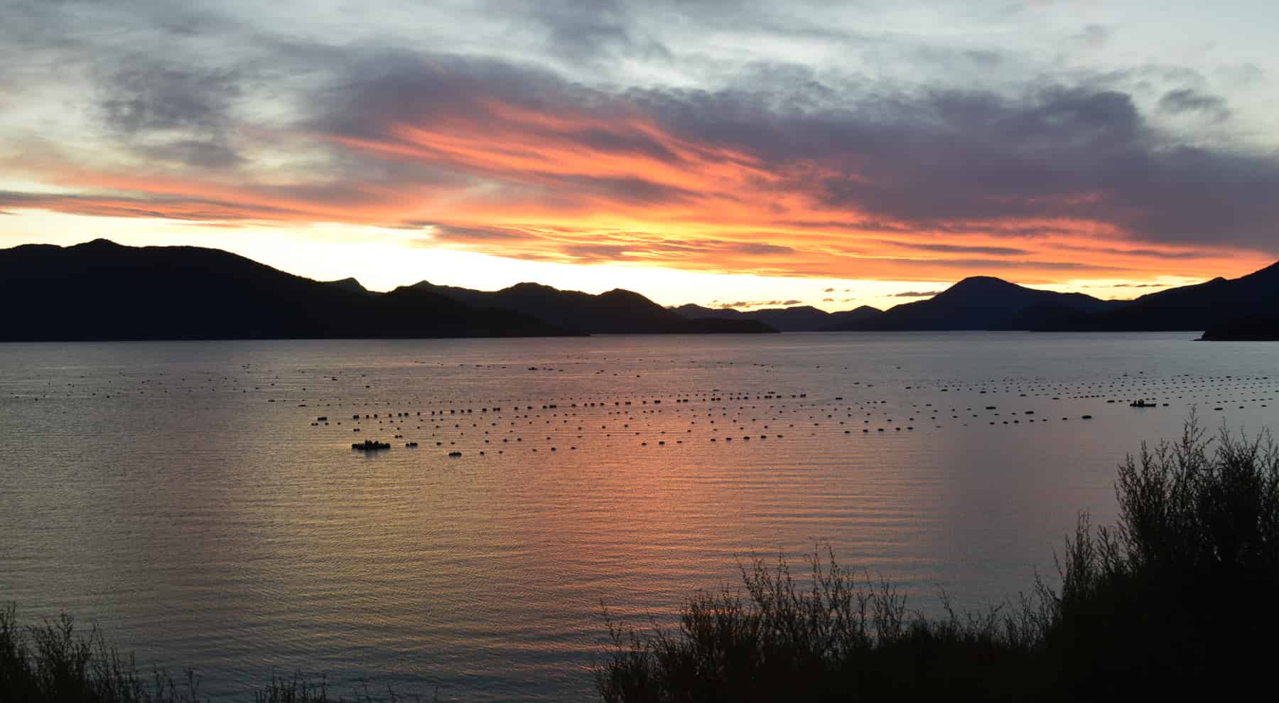 Clova Bay Road, Manaroa, Marlborough For Sale realestate.co.nz