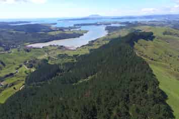00 Brown Road, Kinohaku, Kawhia