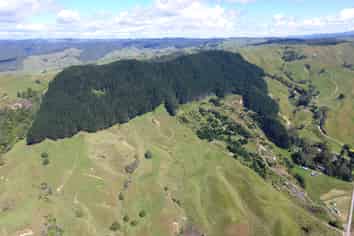 00 Brown Road, Kinohaku, Kawhia