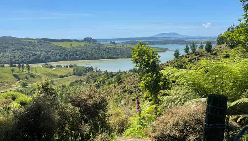 00 Brown Road, Kinohaku, Kawhia