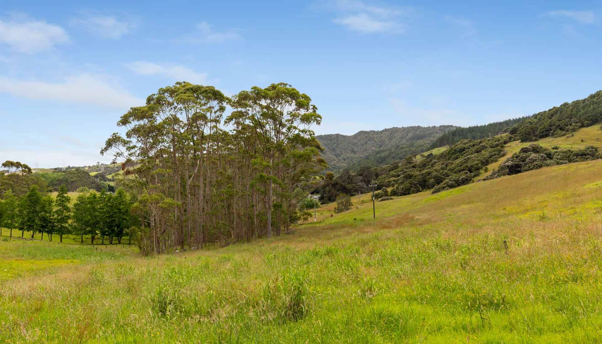 3060 Kaipara Coast Highway, Kaipara Flats, Rodney For Sale