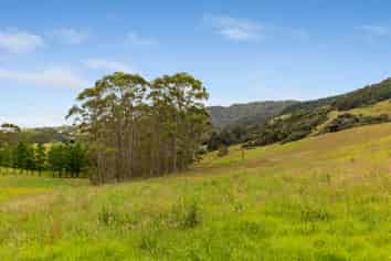 3060 Kaipara Coast Highway, Kaipara Flats