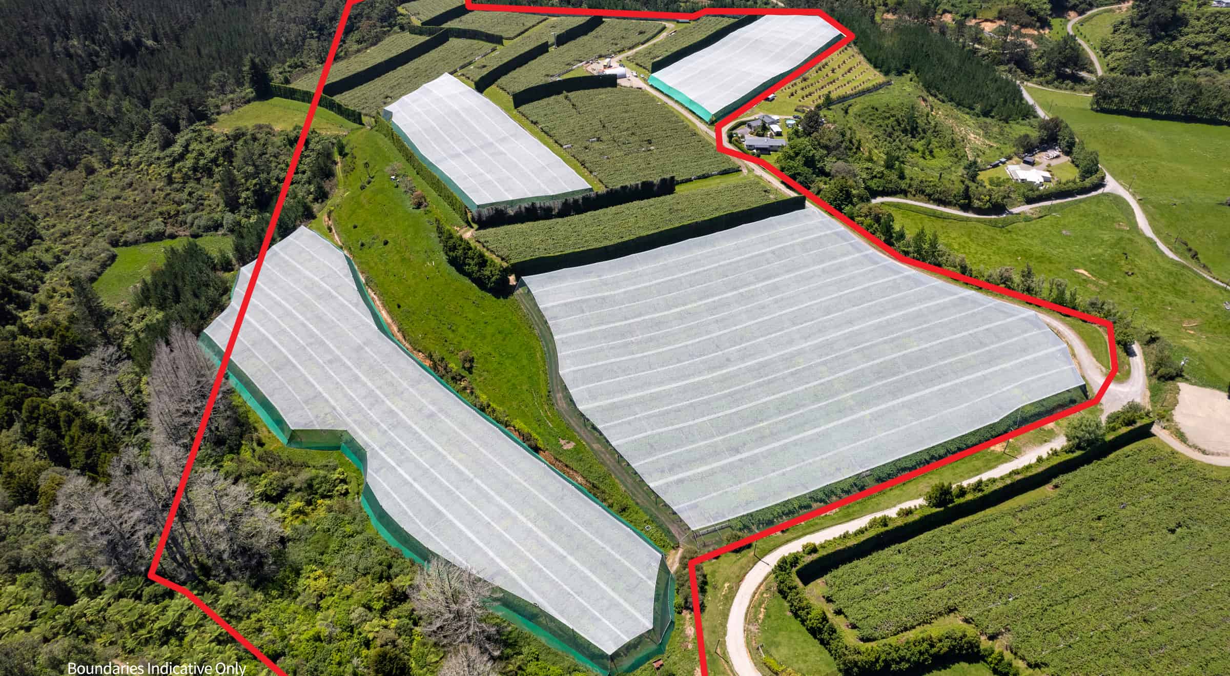 36B Demeter Road, Te Puke, Western Bay Of Plenty For Sale