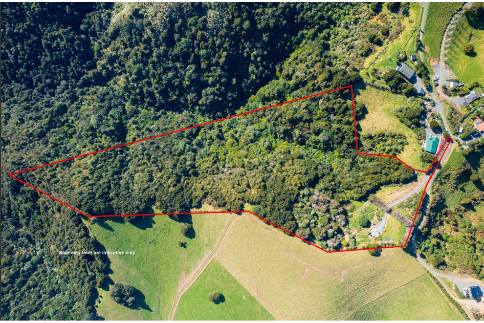 98 Kiwi Bush Lane, Ngunguru, Whangarei For Sale realestate.co.nz