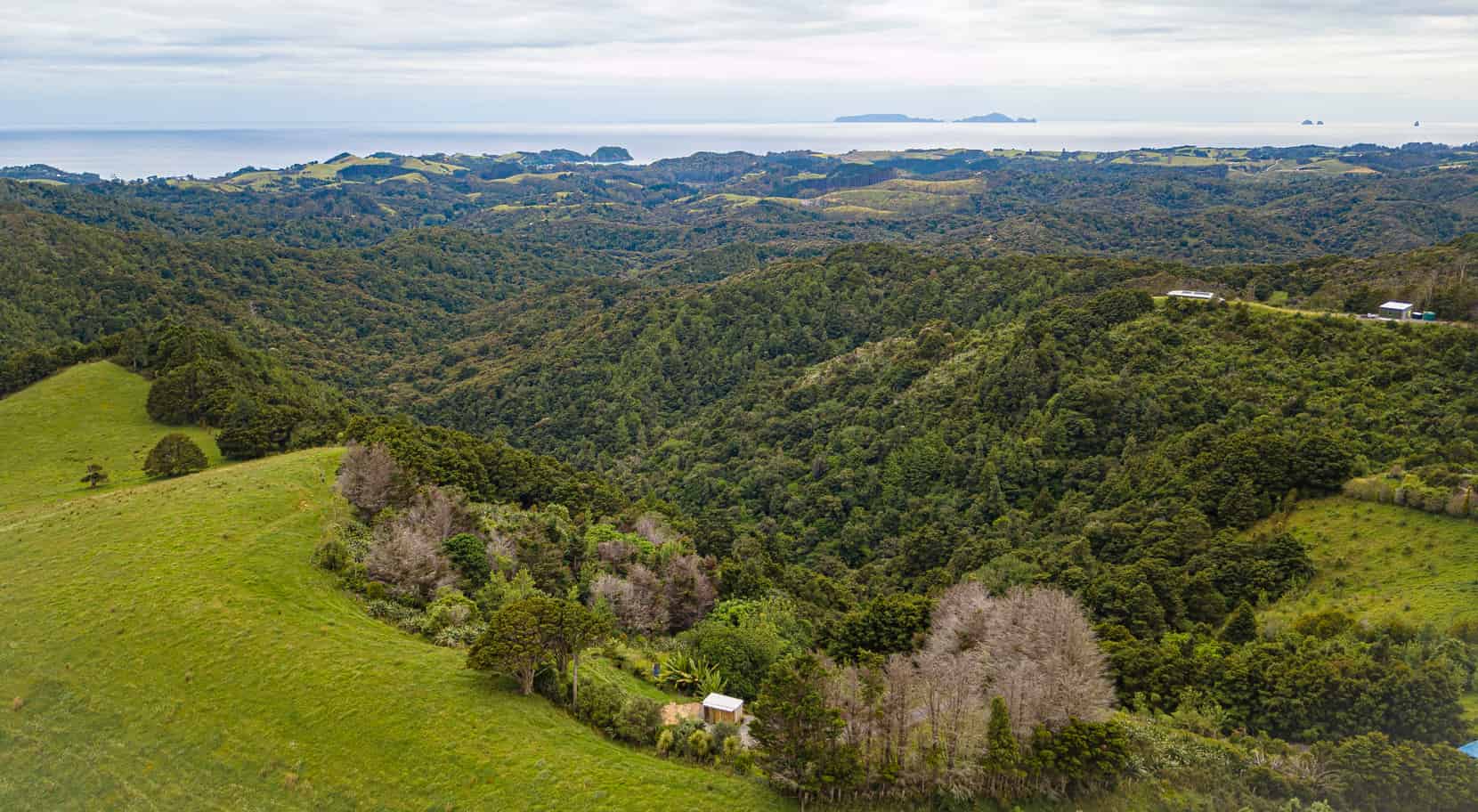 98 Kiwi Bush Lane, Ngunguru, Whangarei For Sale realestate.co.nz