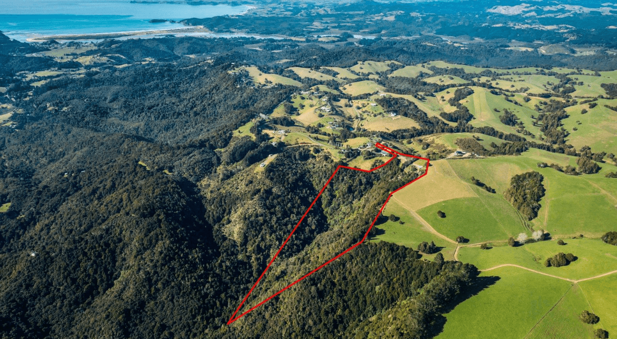 98 Kiwi Bush Lane, Ngunguru, Whangarei For Sale realestate.co.nz