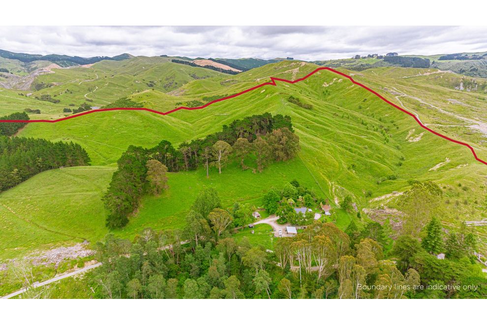 1655 Annedale Road, Tinui Valley, Masterton For Sale realestate.co.nz