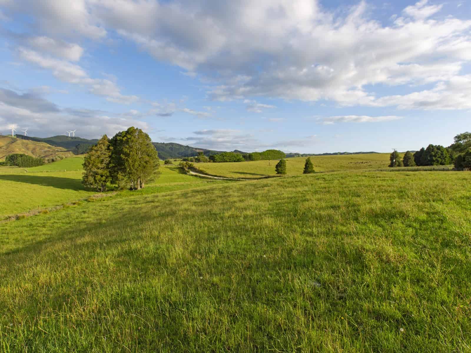 Waikato Rural Lifestyle Sections and Farms for Sale realestate.co.nz
