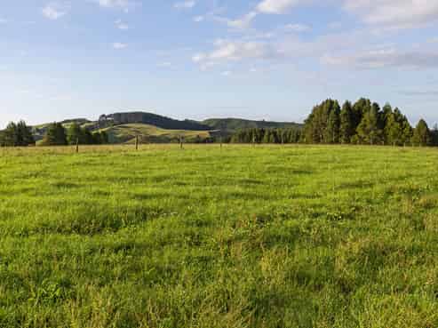 9A Pond Road, Raglan