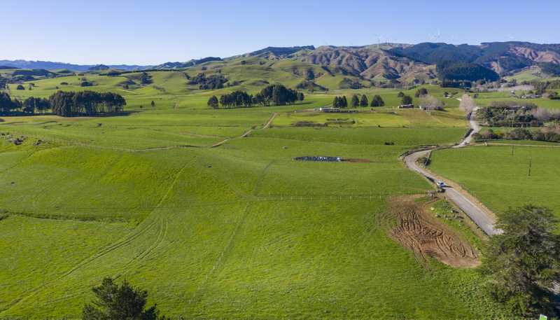 9A 9B and  Pond Road, Raglan