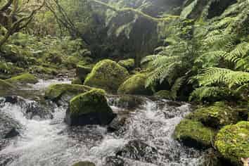 7957 State Highway 2, Opotiki