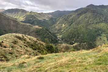 7957 State Highway 2, Opotiki