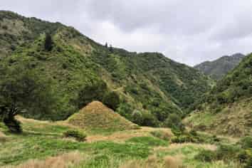 7957 State Highway 2, Opotiki