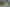 Bay of Plenty - Address withheld