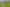 8 Ropata Te Ao Way, Otaki