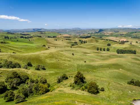 Lot 2/440 Te Onepu Road, Raukawa