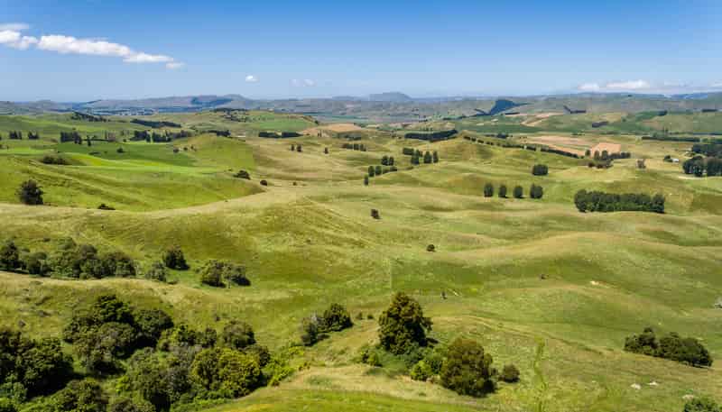 Lot 2/440 Te Onepu Road, Raukawa