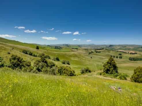 Lot 2/440 Te Onepu Road, Raukawa