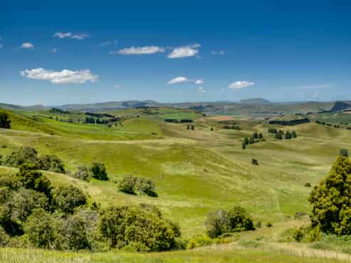 Lot 2/440 Te Onepu Road, Raukawa