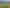 10 Black Lane, Te Anau