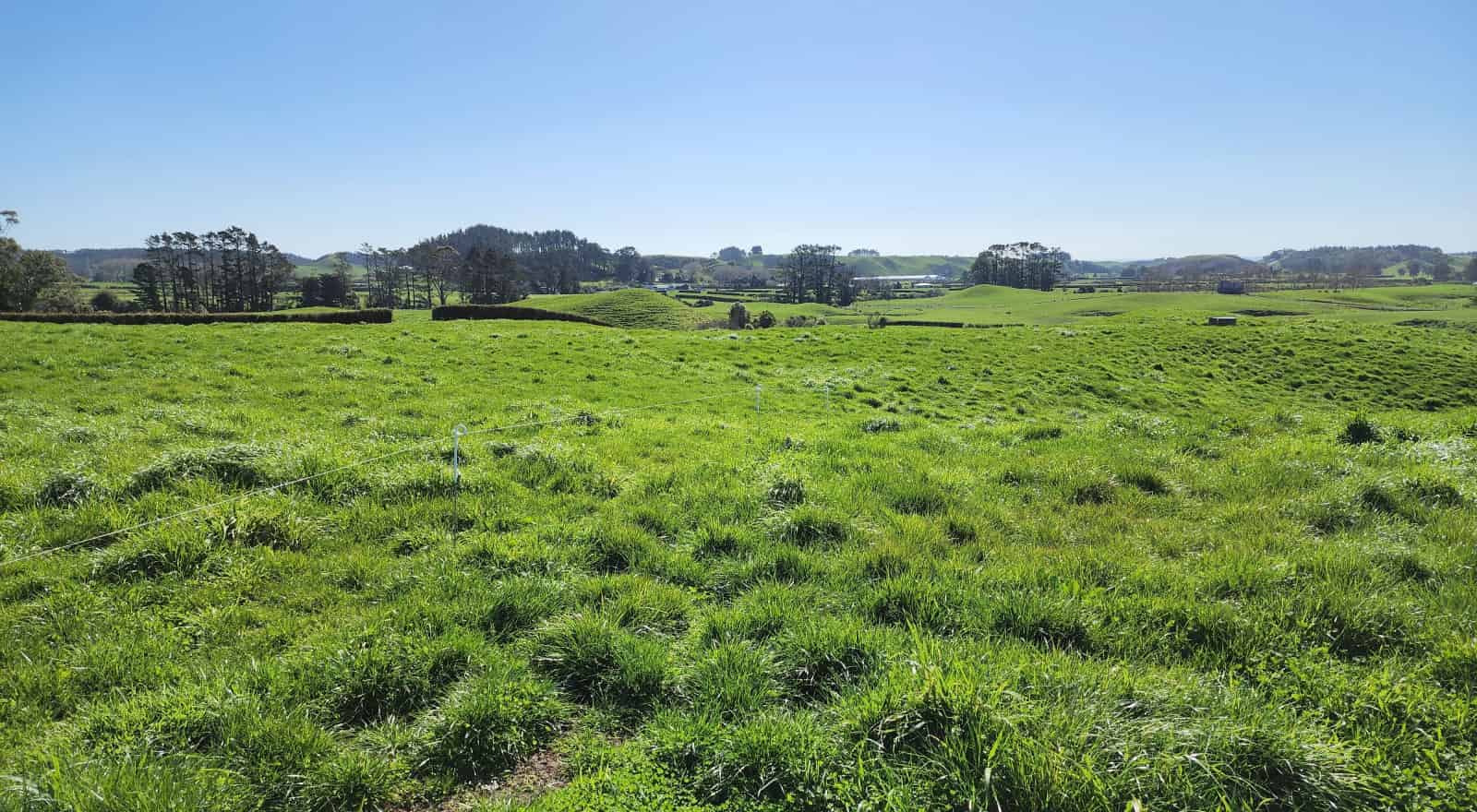 Lot 1, 868 Upland Road, Egmont Village, New Plymouth - For Sale ...