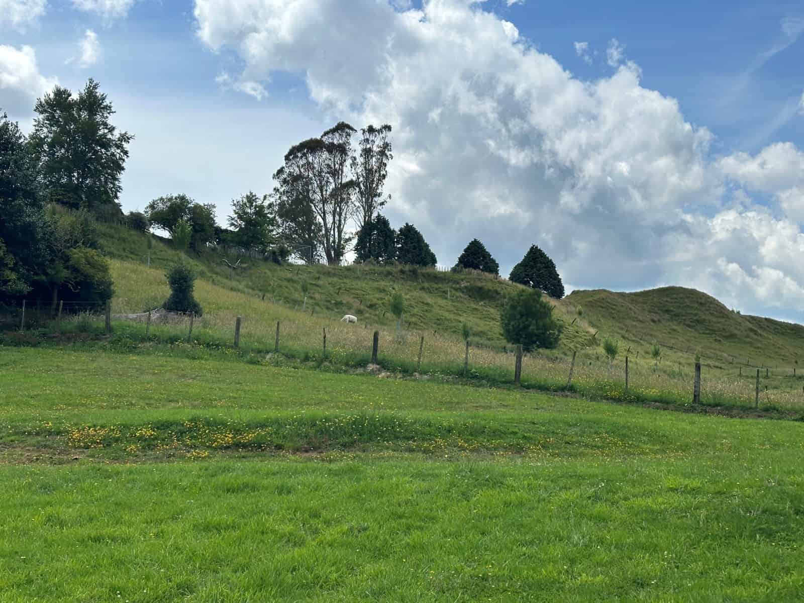 Raetihi Homes and Real Estate for Sale realestate.co.nz