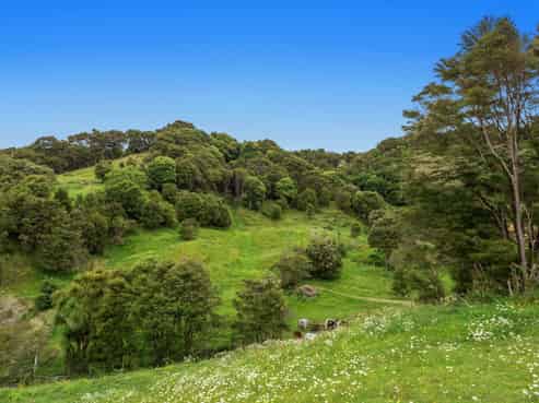 132 Foster Road, Taneatua