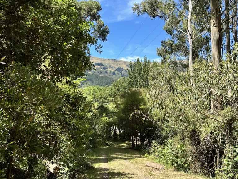 Little River Homes and Real Estate for Sale realestate.co.nz