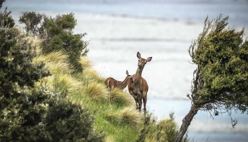  Manuka Point , Methven