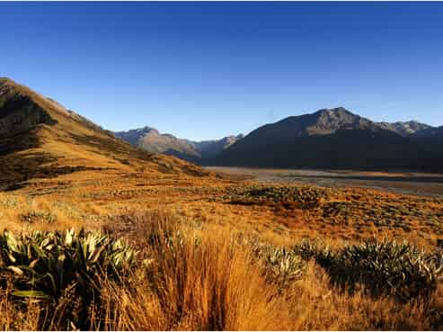  Manuka Point , Methven