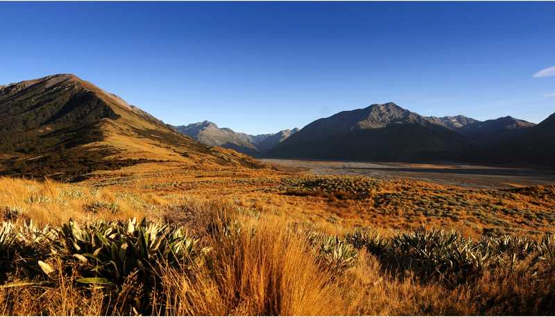 Manuka Point , Methven