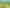 1944 Te Rahu Road, Te Awamutu