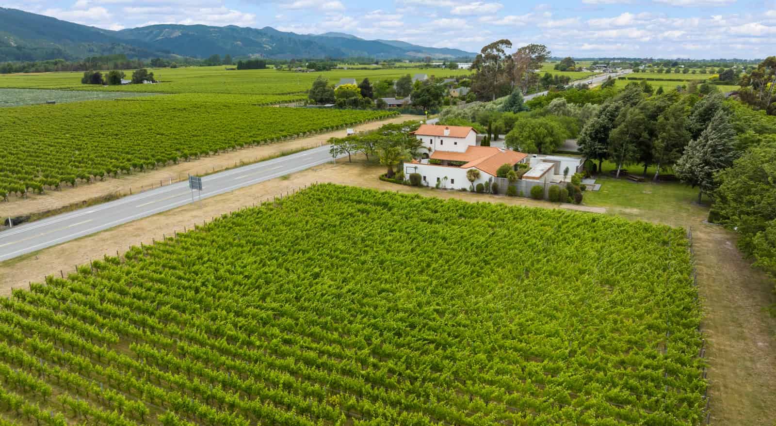 For sale 26 Rapaura Road, Renwick realestate.co.nz