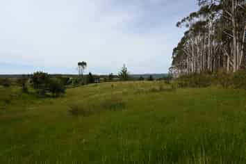  Woodstock-Rimu Road, Ruatapu