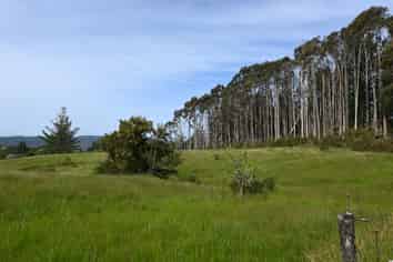 Woodstock-Rimu Road, Ruatapu