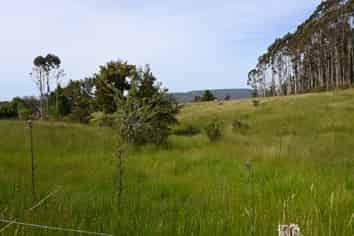  Woodstock-Rimu Road, Ruatapu
