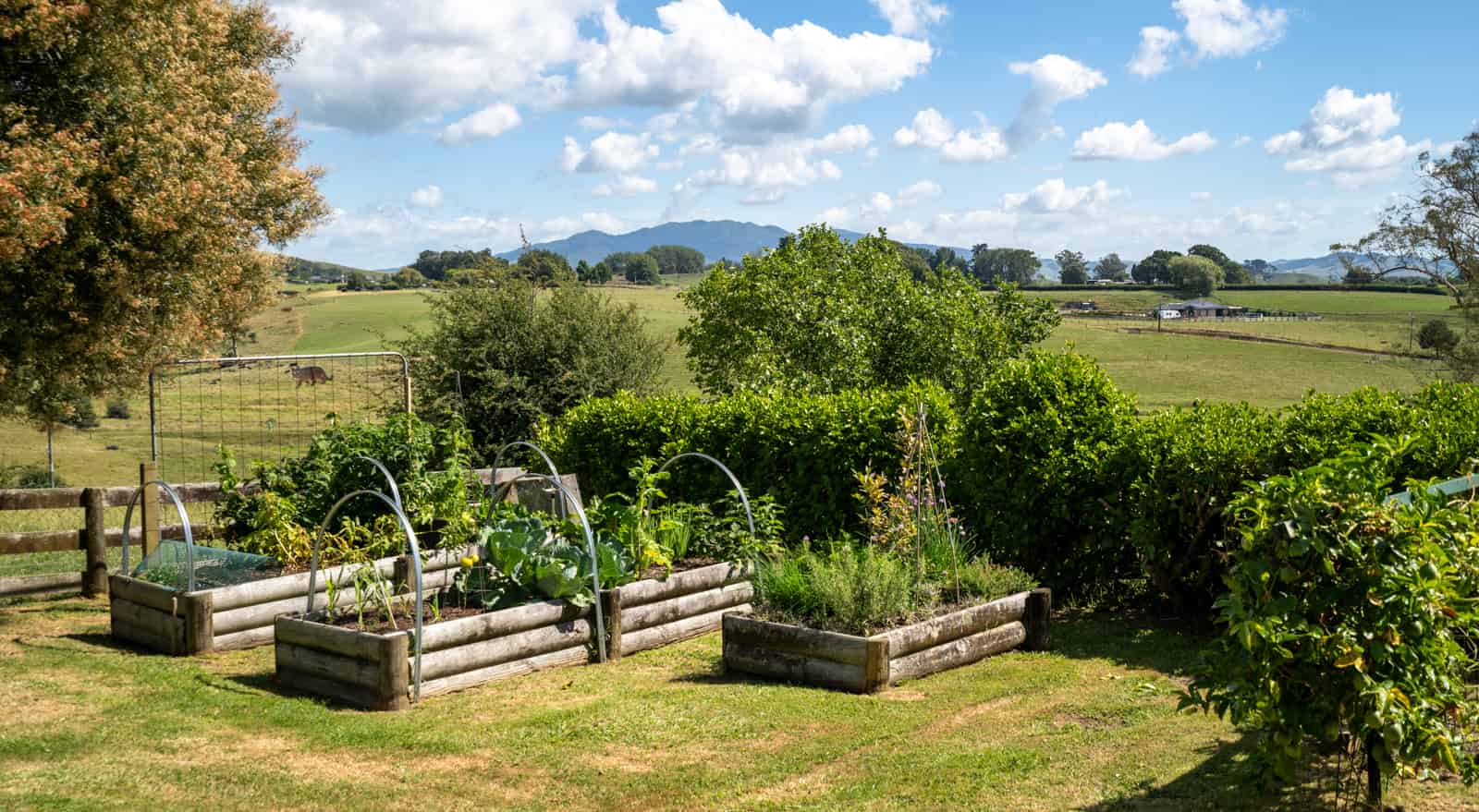 1534 Buckland Road, Cambridge, Waipa For Sale realestate.co.nz