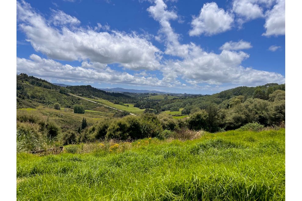 140 Waere Valley Lane, Warkworth, Rodney For Sale realestate.co.nz