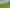 1041 Horotiu Road, Te Kowhai