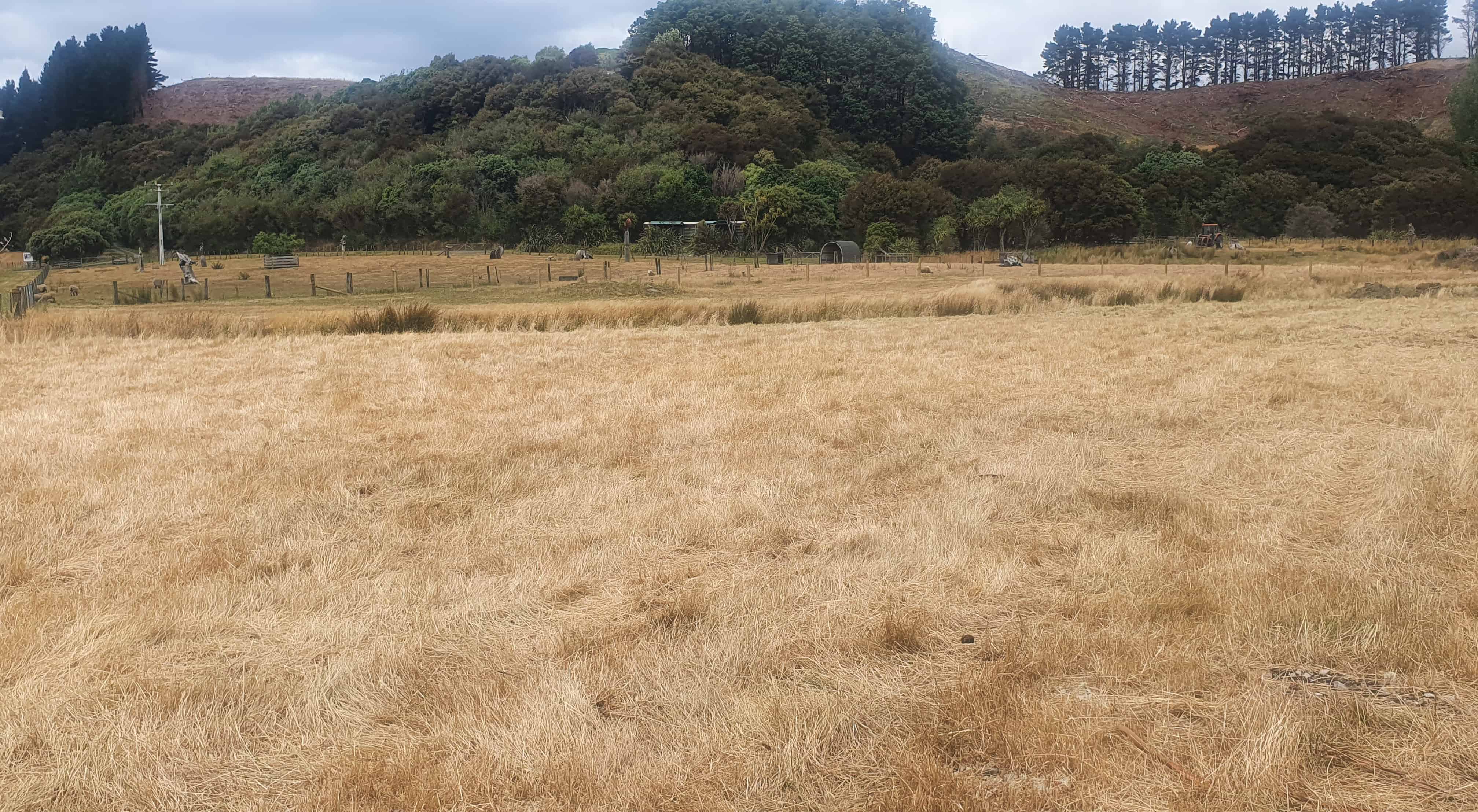 3626a Western Lake Road, Featherston, South Wairarapa For Sale