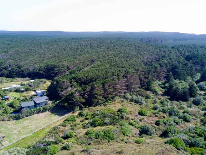 Section 63 Ninety Mile Beach Road, Waipapakauri