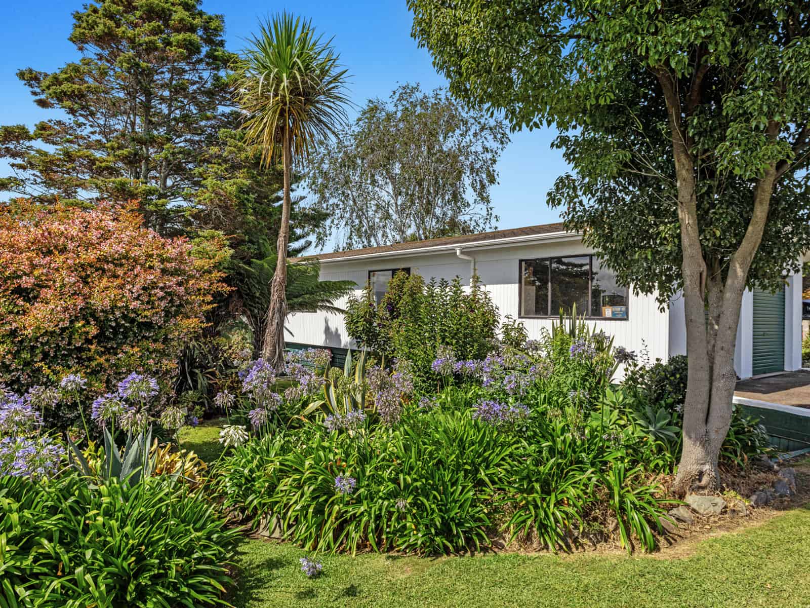 Opotiki Homes and Real Estate for Sale realestate.co.nz